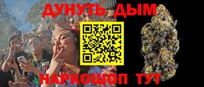 шишки Будённовск